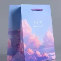 Пакет подарочный "Мечтай выше облаков" ламинированный 18 х 22,3 х 10 см