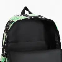 Рюкзак школьный, 1 отделение, 3 кармана, 30&times;13&times;42 см, зелёный