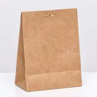 Коробка-пакет, крафт с окном, 20 х 15 х 8 см Коробка-пакет, крафт с окном, 20 х 15 х 8 см