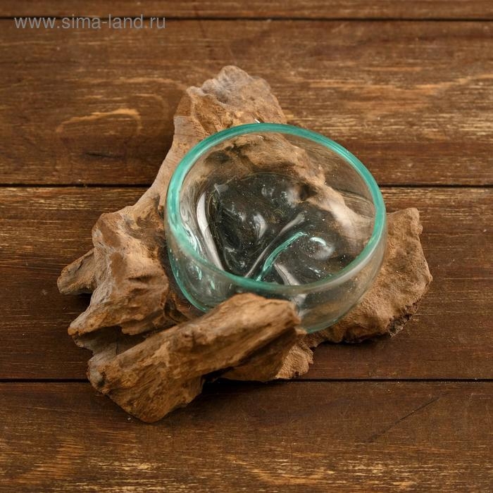 Вазон стекло на коряге  Вазон стекло на коряге "Блюдо" 15х15х8 см