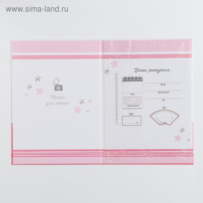 Папка для свидетельства о рождении «Слоник», для девочки, А4 Папка для свидетельства о рождении «Слоник», для девочки, А4