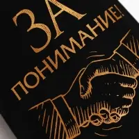 Стопки в чехле &laquo;За понимание!&raquo;: нержавеющая сталь, набор 3 шт.&times;30 мл