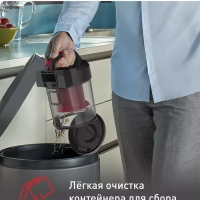 Пылесос с контейнером Cyclonic Power TW1923RH