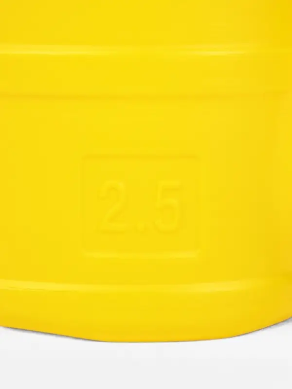 Лейка, 2.5 л, с рассеивателем, МИКС