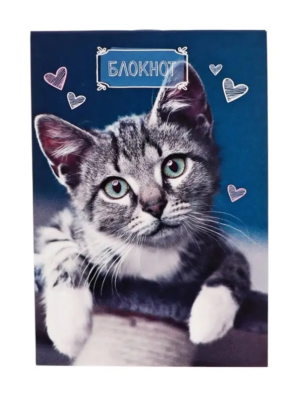Набор блокнотов А6 24л кл на скобе Котята, мел карт, 4В 20шт