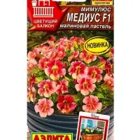 Семена цветов Мимулюс Медиус F1 малиновая пастель (драже) С. Cerny Цветущий балкон, Ц/П,10 шт. 1094 Семена цветов Мимулюс Медиус F1 малиновая пастель (драже) С. Cerny Цветущий балкон, Ц/П,10 шт. 1094