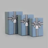 Набор подарочных коробок 3 в 1, прямоугольные 23&times;16&times;9.5 21&times;14&times;8.0 19&times;12&times;6.5 см