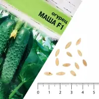 Семена Огурец &laquo;Маша&raquo;, F1, 0.2 г, &laquo;УРОЖАЙ УДАЧИ&raquo;