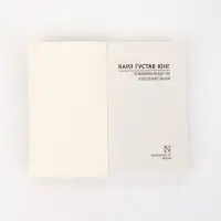 Книга &laquo;Отношения между эго и бессознательным&raquo;, Карл Густав Юнг