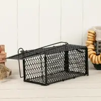 Крысоловка, 24&times;12&times;12 см, металлическая, Greengo