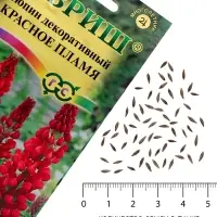 Семена цветов Люпин "Красное пламя", ц/п,  0,5 г