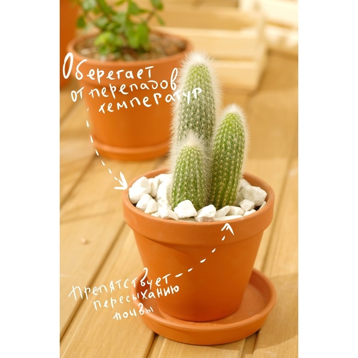 Мраморная крошка  Мраморная крошка "Рецепты Дедушки Никиты", отборная, белая, фр 10-20 мм , 2 кг