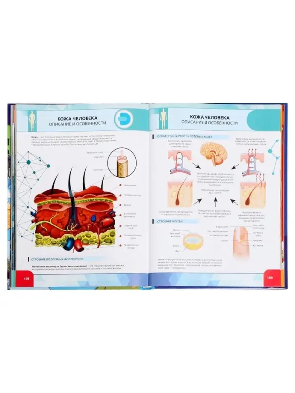 Большая энциклопедия 4D в дополненной реальности, 256 стр.