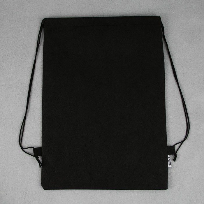 Мешок для обуви «1 сентября: T-REX динозавр» нетканное полотно, размер 30 х 40 см Мешок для обуви «1 сентября: T-REX динозавр» нетканное полотно, размер 30 х 40 см