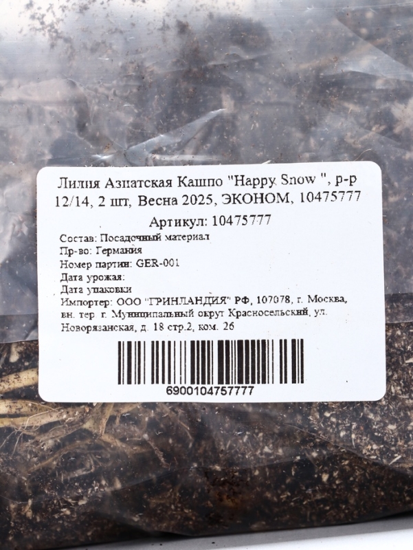 Лилия Азиатская Кашпо "Happy Snow ", р-р 12/14, 2 шт, Весна 2025, ЭКОНОМ,