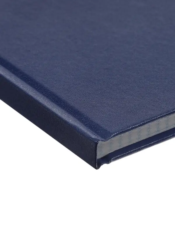 Книга учета А4, 128 листов, клетка, 200&times;290 мм, бумвинил, синий, блок офсетный