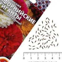 Семена цветов Цинния &laquo;Калифорнийские гиганты&raquo; смесь, 0.3 г