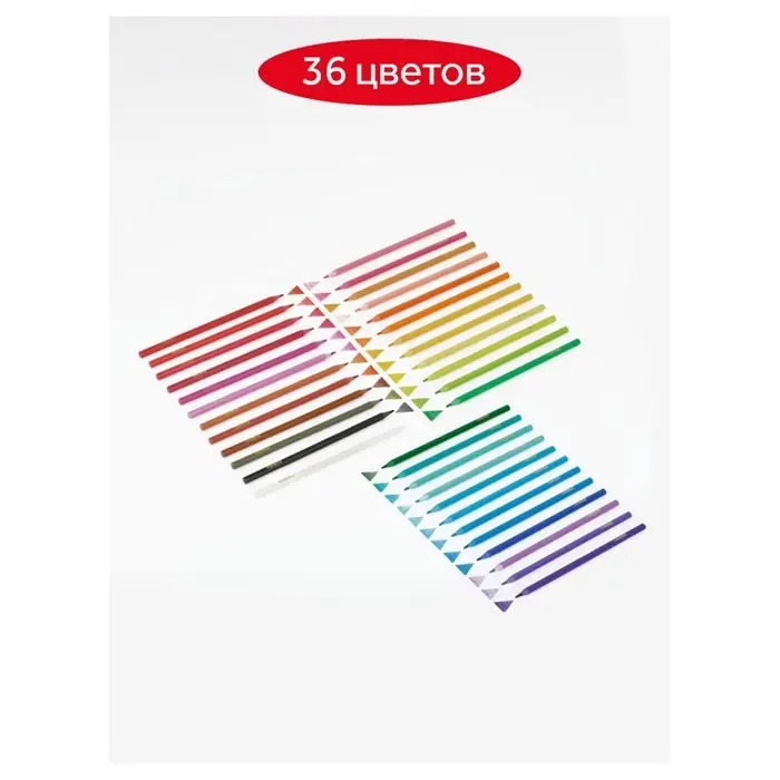 Карандаши цветные пластиковые 36 цветов &laquo;Гамма. Мультики&raquo;, заточенные, ПВХ, европодвес (251220214)