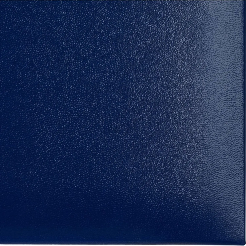 Папка адресная КОНКОРД, синий, А4