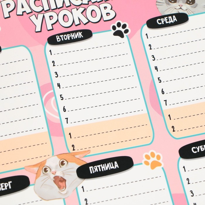 Расписание уроков &laquo;Милые кошечки&raquo; А4, многоразовое магнитное с маркером