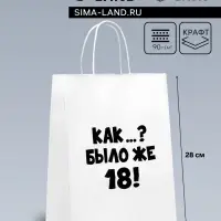Пакет подарочный «Как было же 18», 24×14×28 см