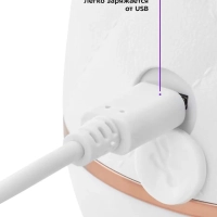 Портативный блендер КТ-3006 Портативный блендер КТ-3006
