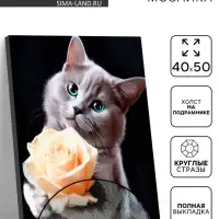 Алмазная вышивка полное заполнение &laquo;Котенок с розой&raquo;, на раме, 40&times;50 см