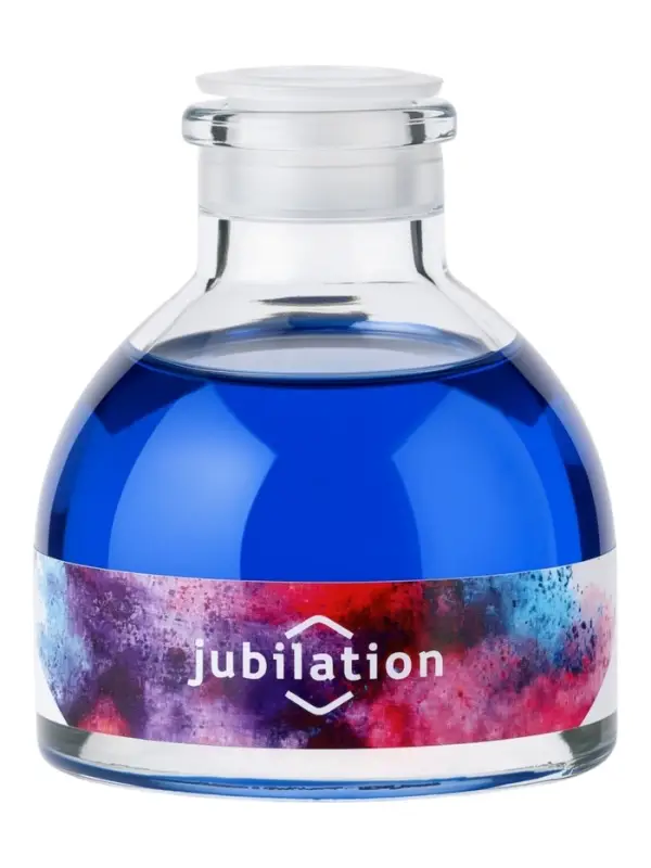 Диффузор ароматический с палочками Holi Jubilation, 50 мл