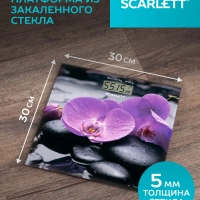 Весы