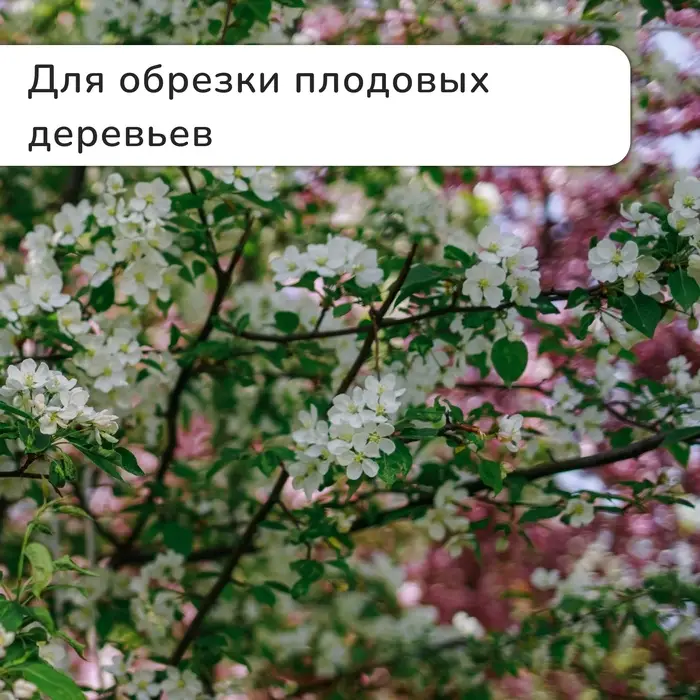 Секатор плоскостной, 9" (23 см), с пластиковыми ручками, МИКС