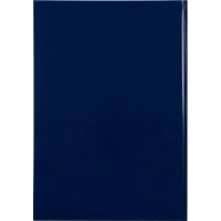 Книга регистр. корреспонден. А4 96л. обл.бумвинил