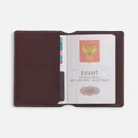 Обложка для паспорта Detalli, коричневая