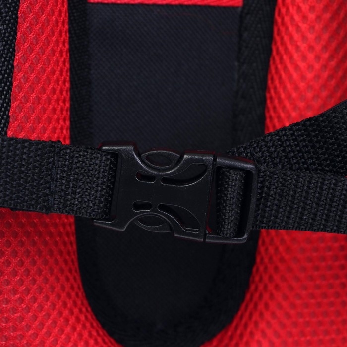 Рюкзак каркасный школьный 38 х 30 х 16 см, эргономичная спинка, Stavia "Чёрная машина"