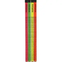 Карандаш чернографитный ErichKrause Neon, круглый, с ластиком, HB, в тубусе, МИКС