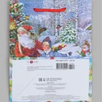 Пакет ламинированный MS 18 х 22,3 х 10 см 84