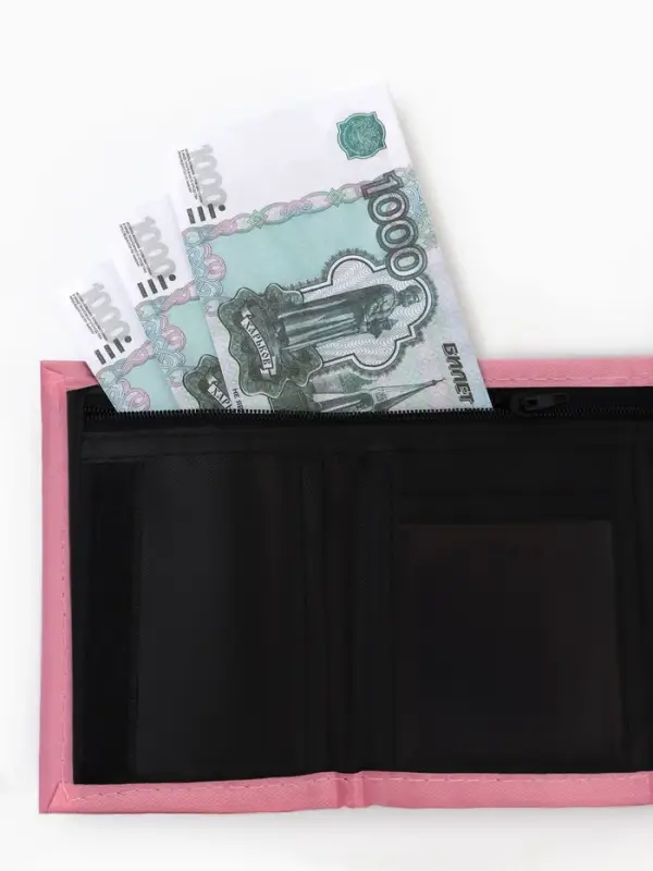 Кошелек детский на липучке &laquo;Мари&raquo;, Коты аристократы