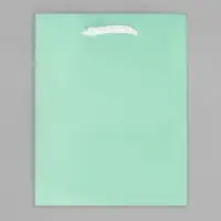 Пакет подарочный ламинированный, упаковка, &laquo;Зелёный&raquo;, S 12 х 15 х 5.5 см
