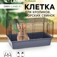 Клетка для кроликов, морских свинок &laquo;Пижон&raquo; №4 складная, 80&times;50&times;47 см, светло-серая