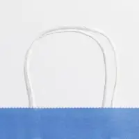 Пакет подарочный крафтовый, упаковка, «Blue», 22 х 25 х 12 см Пакет подарочный крафтовый, упаковка, «Blue», 22 х 25 х 12 см