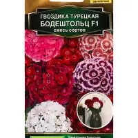 Семена цветов Гвоздика турецкая Бодештольц F1, смесь сортов Золотая серия, Ц/П,7 шт. Семена цветов Гвоздика турецкая Бодештольц F1, смесь сортов Золотая серия, Ц/П,7 шт.