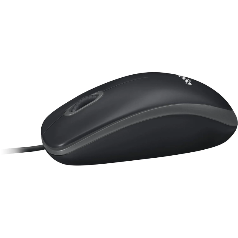 Мышь компьютерная Logitech USB OPTICAL B100 910-006605