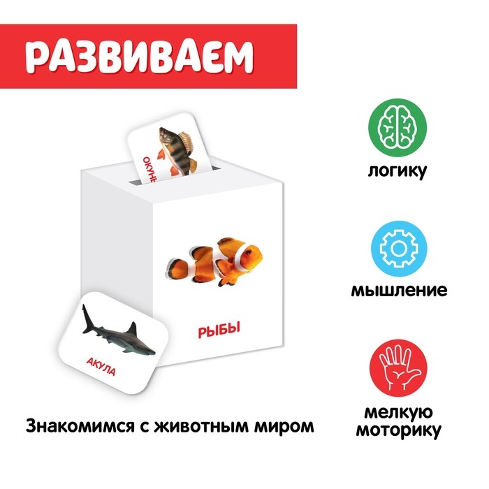 Сортер-копилка «Животные» по методике Г. Домана Сортер-копилка «Животные» по методике Г. Домана