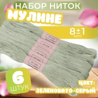 Набор ниток мулине №3064, 8 ± 1 м, 6 шт, цвет зеленовато-серый