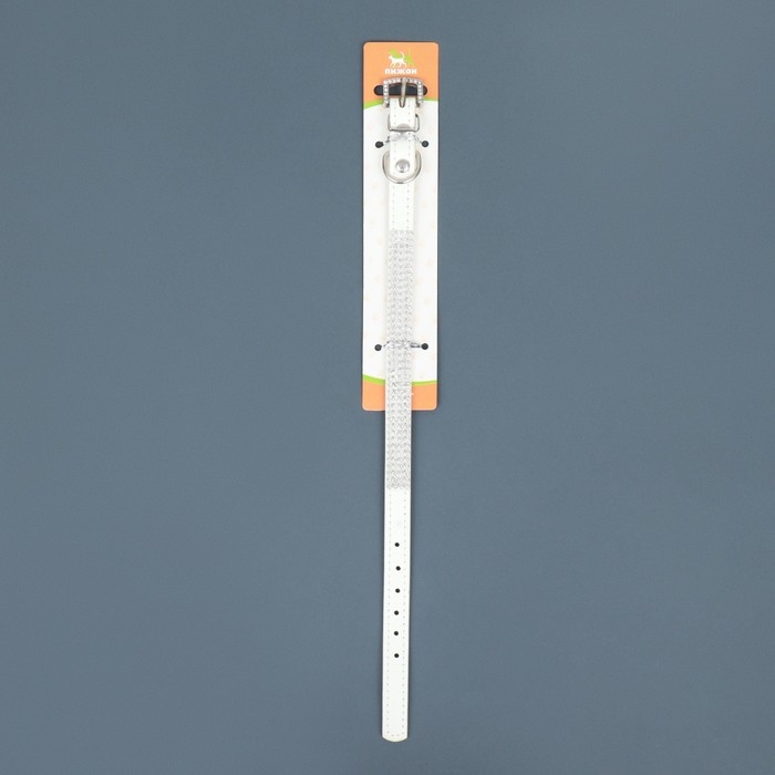 Ошейник со стразами в 4 ряда и стразы на пряжке, 38 х 1,5 см, ОШ 26-33, белый Ошейник со стразами в 4 ряда и стразы на пряжке, 38 х 1,5 см, ОШ 26-33, белый