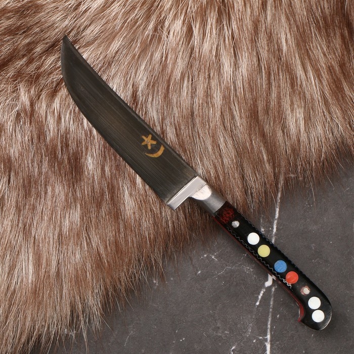 Пчак Шархон, чирчик, рукоять из оргстекла, микс Пчак Шархон, чирчик, рукоять из оргстекла, микс