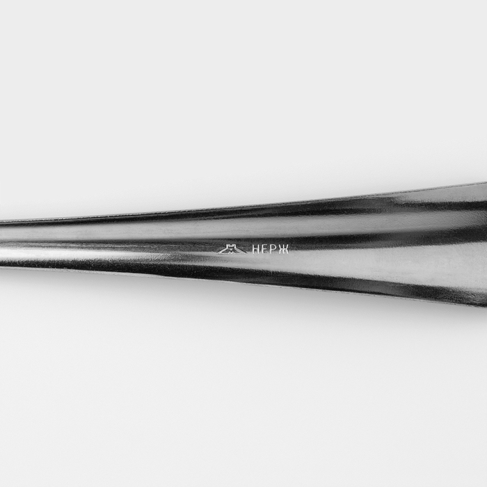 Ложка столовая «Новинка», длина 19,8 см, толщина 1,2 мм, упрощённой обработки, цвет серебряный Ложка столовая «Новинка», длина 19,8 см, толщина 1,2 мм, упрощённой обработки, цвет серебряный