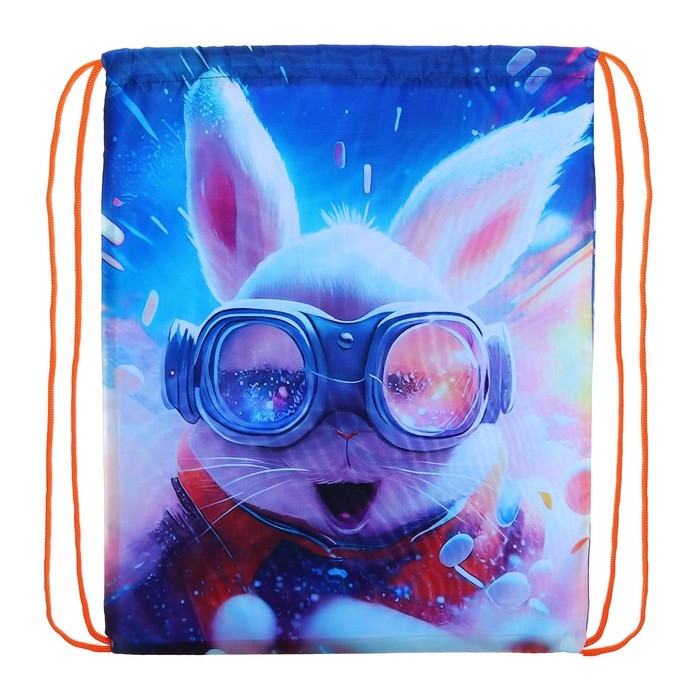 Мешок для обуви 420 х 340 мм, Calligrata МСО-5С, (мягкий полиэстер, плотность 210D),  Мешок для обуви 420 х 340 мм, Calligrata МСО-5С, (мягкий полиэстер, плотность 210D), "Пушистый дружок заяц"