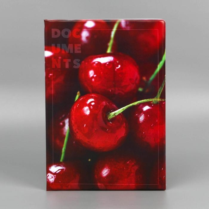 Папка для документов «Docs», 8 файлов А4 Папка для документов «Docs», 8 файлов А4