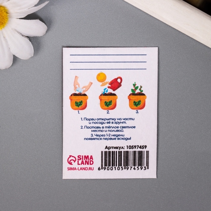 Набор открыток с семенами  Набор открыток с семенами "Вырасти сам" "Мечта" 5*7см