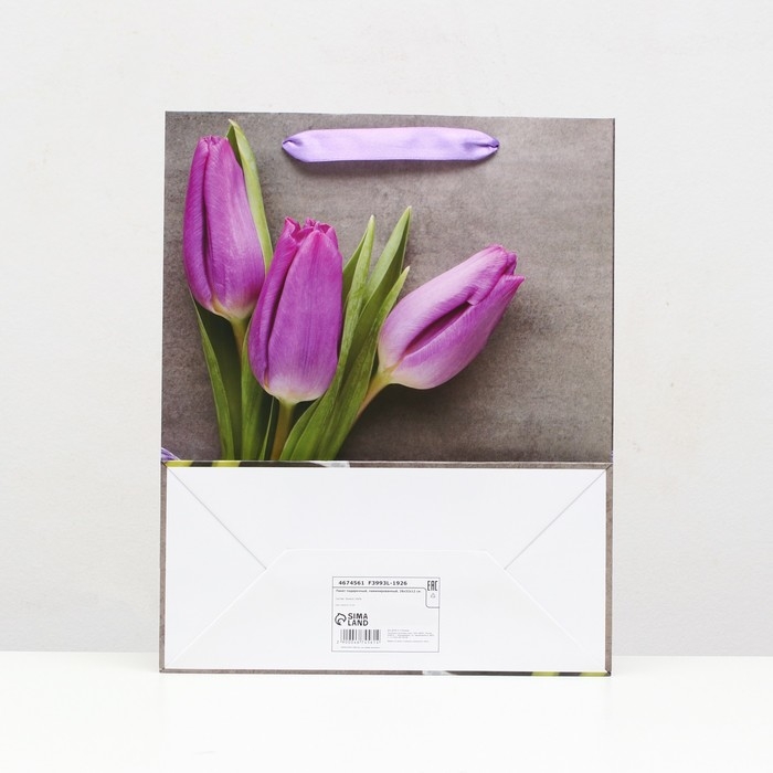 Пакет ламинированный, 26 x 32 x 12 см Пакет ламинированный, 26 x 32 x 12 см